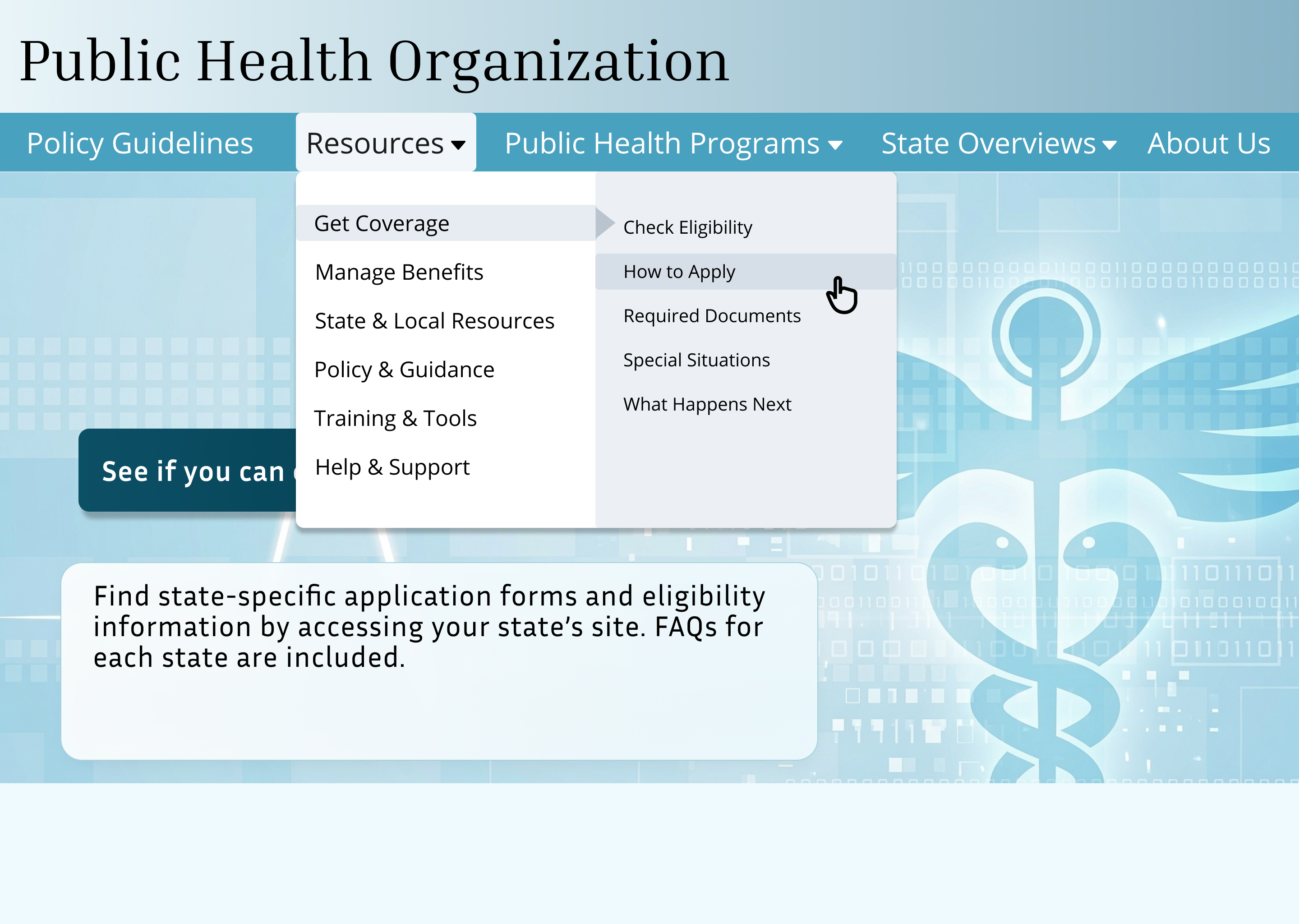 Healthcare consulting prototype showing progressive navigation disclosure for get-coverage pathways on a public health benefits portal